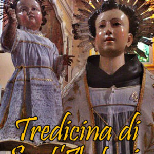 tredicina2013