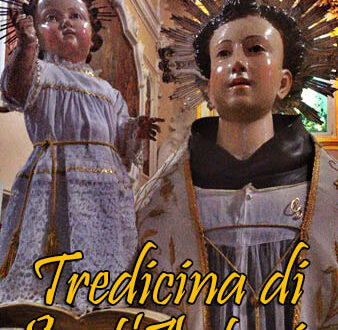 tredicina2013