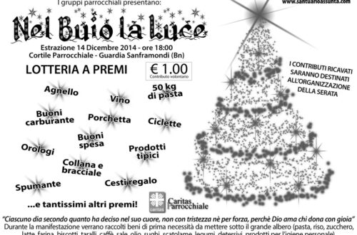 lotteria nelbuiolaluce2014